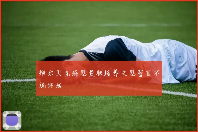 维尔贝克感恩曼联培养之恩誓言不说坏话