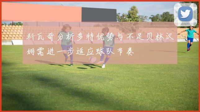 科瓦奇分析多特优势与不足贝林汉姆需进一步适应球队节奏